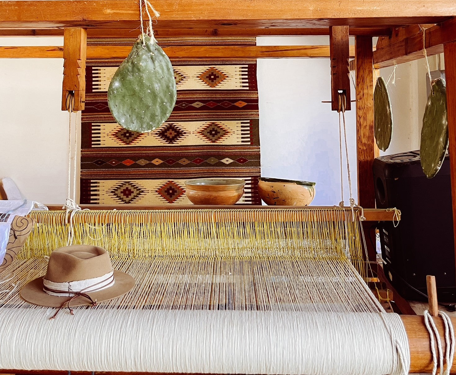 Oaxaca Collection